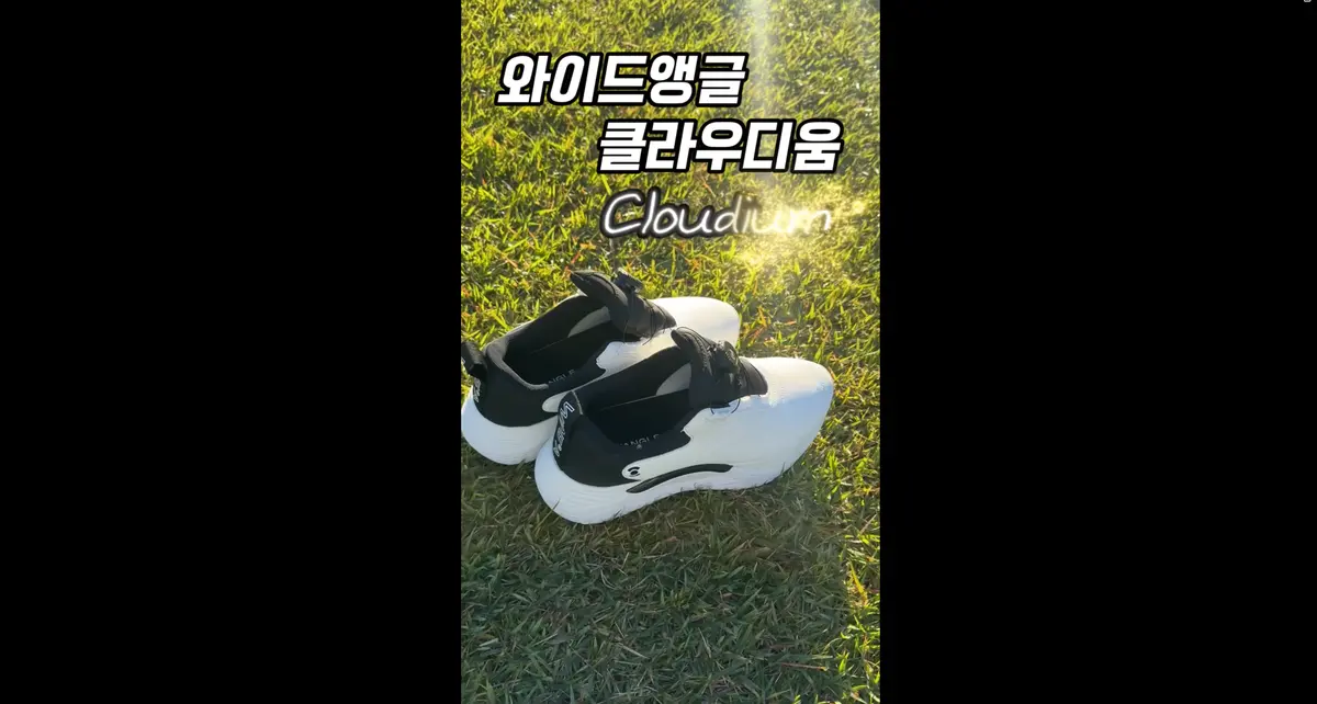 이미지 12