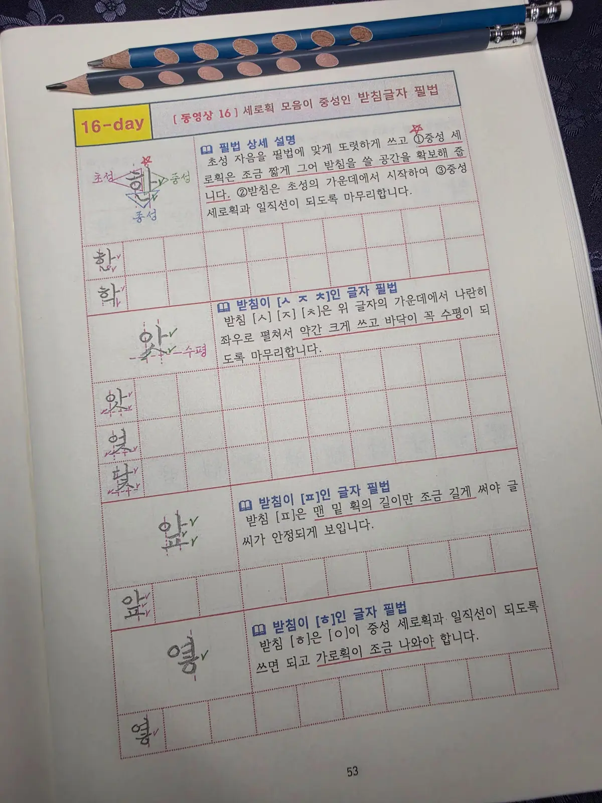 이미지 10