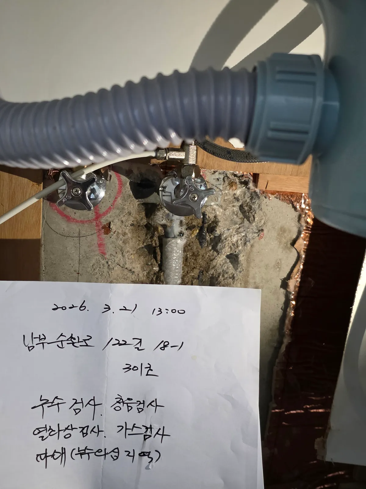 이미지 10
