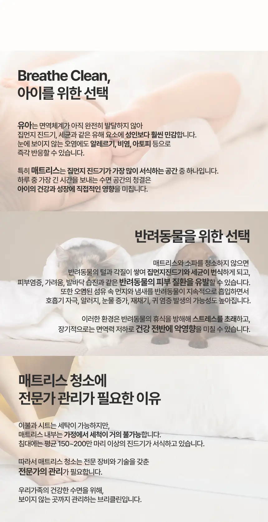 이미지 12