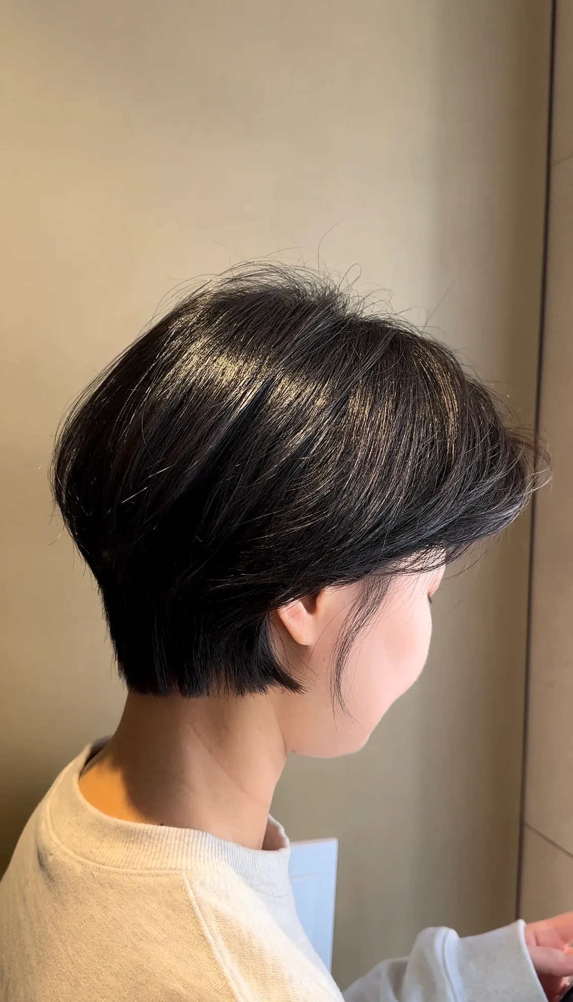 이미지 8