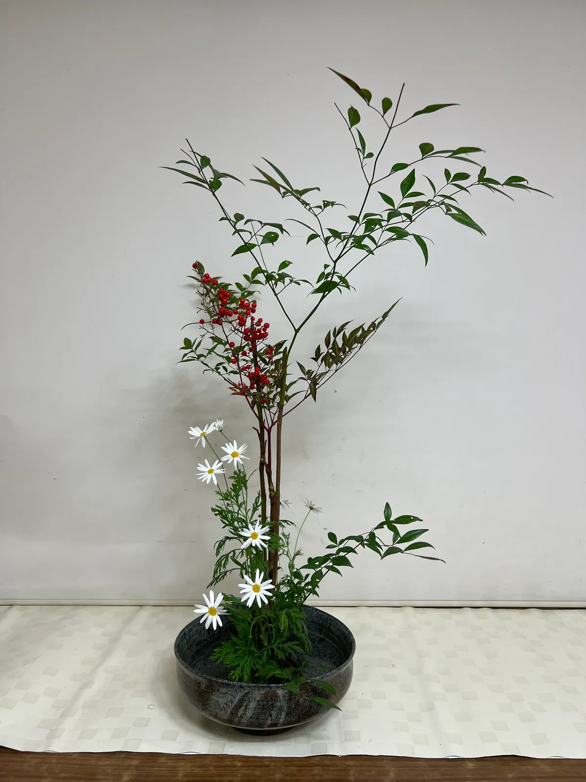 이미지 7