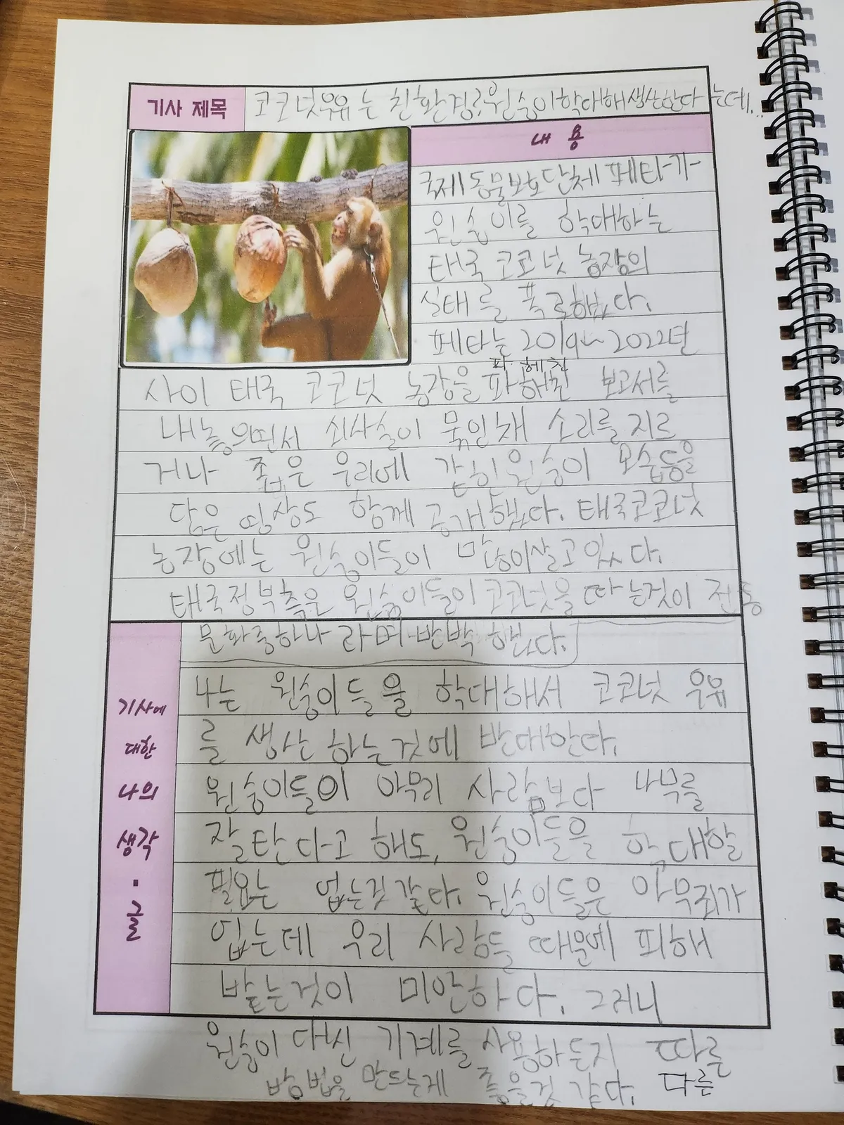 이미지 6