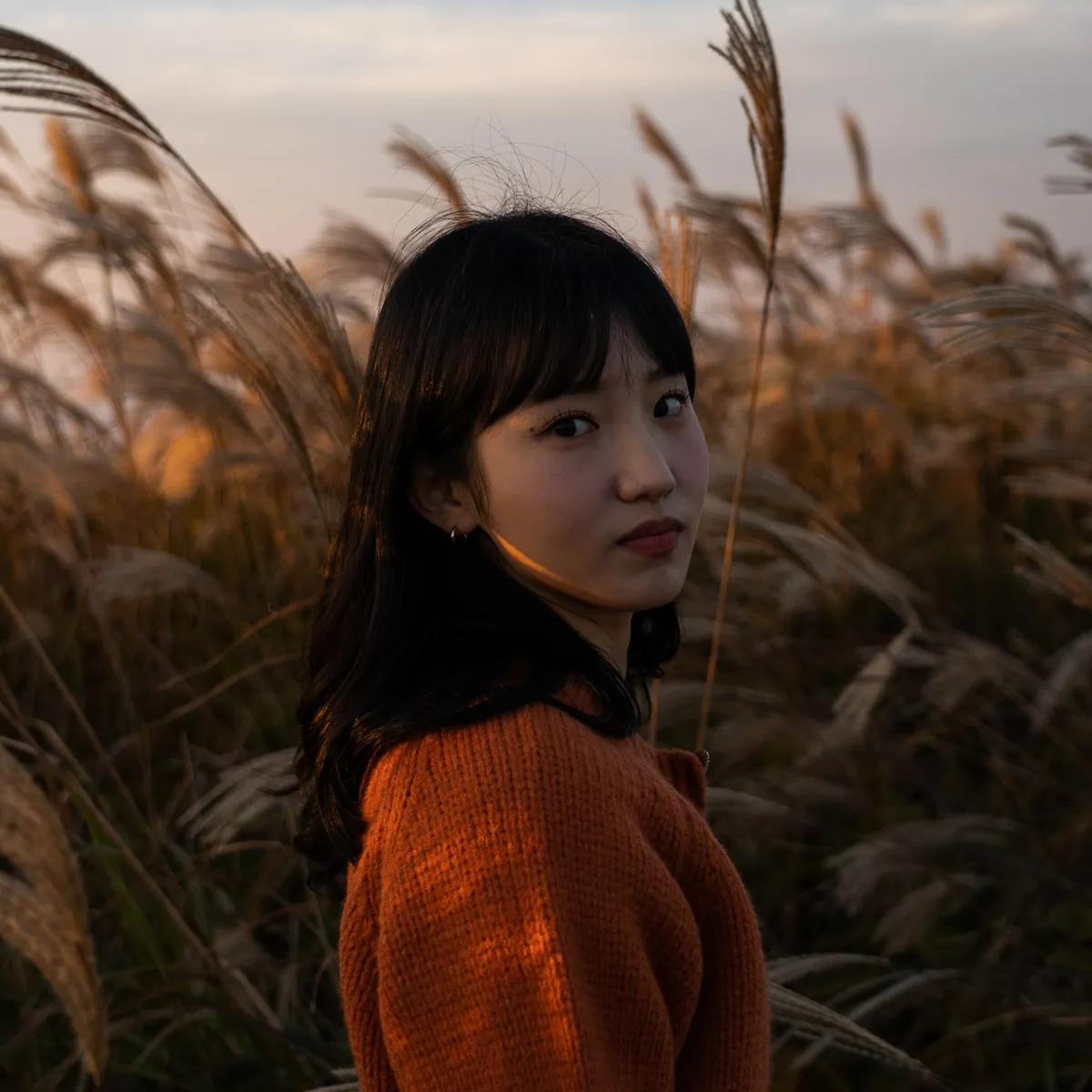 이미지 12