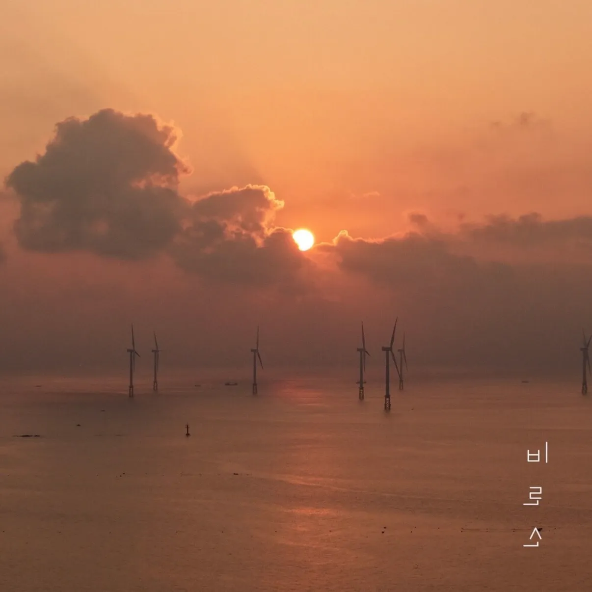 이미지 16
