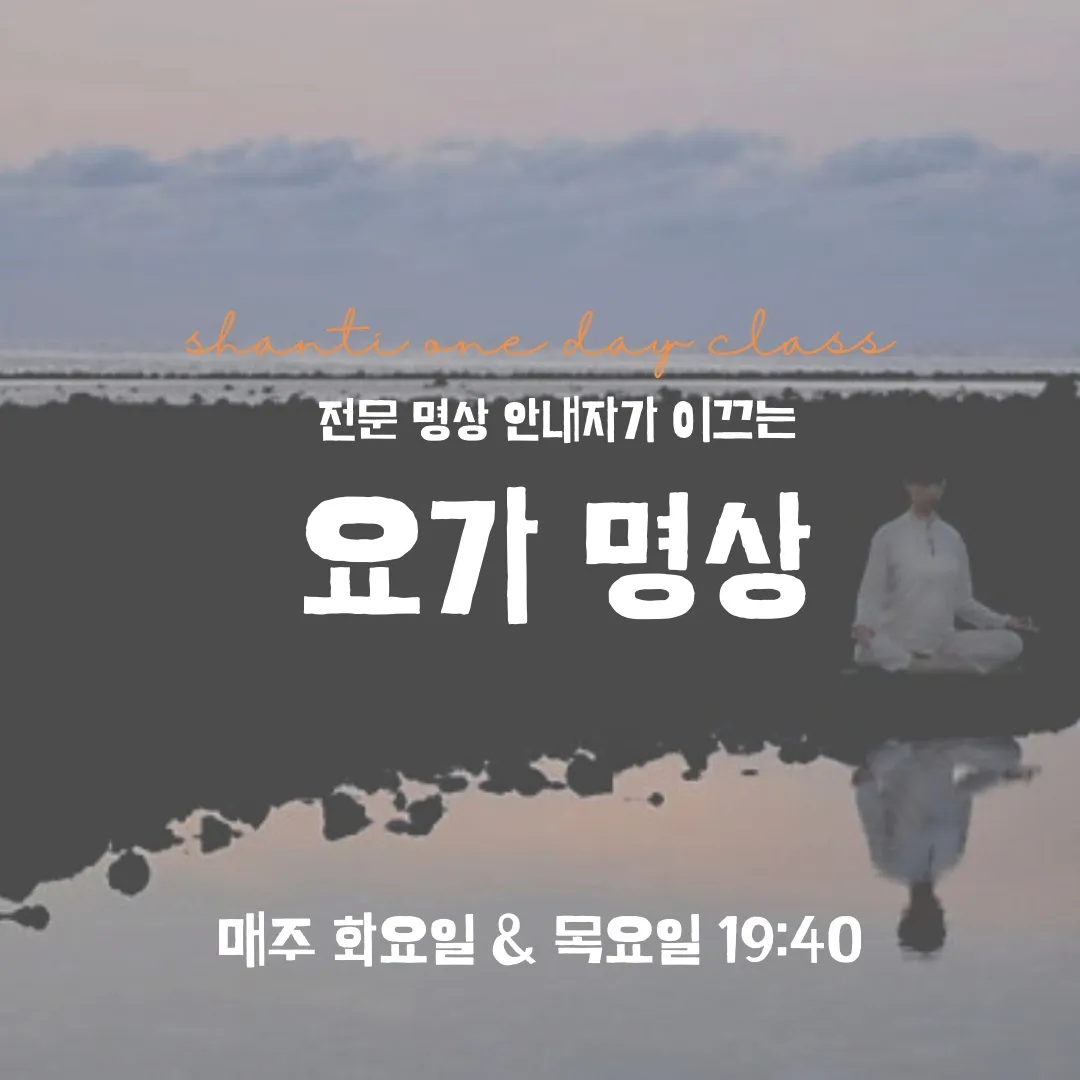 이미지 12