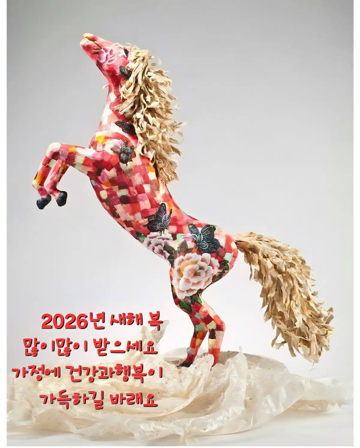 이미지 12