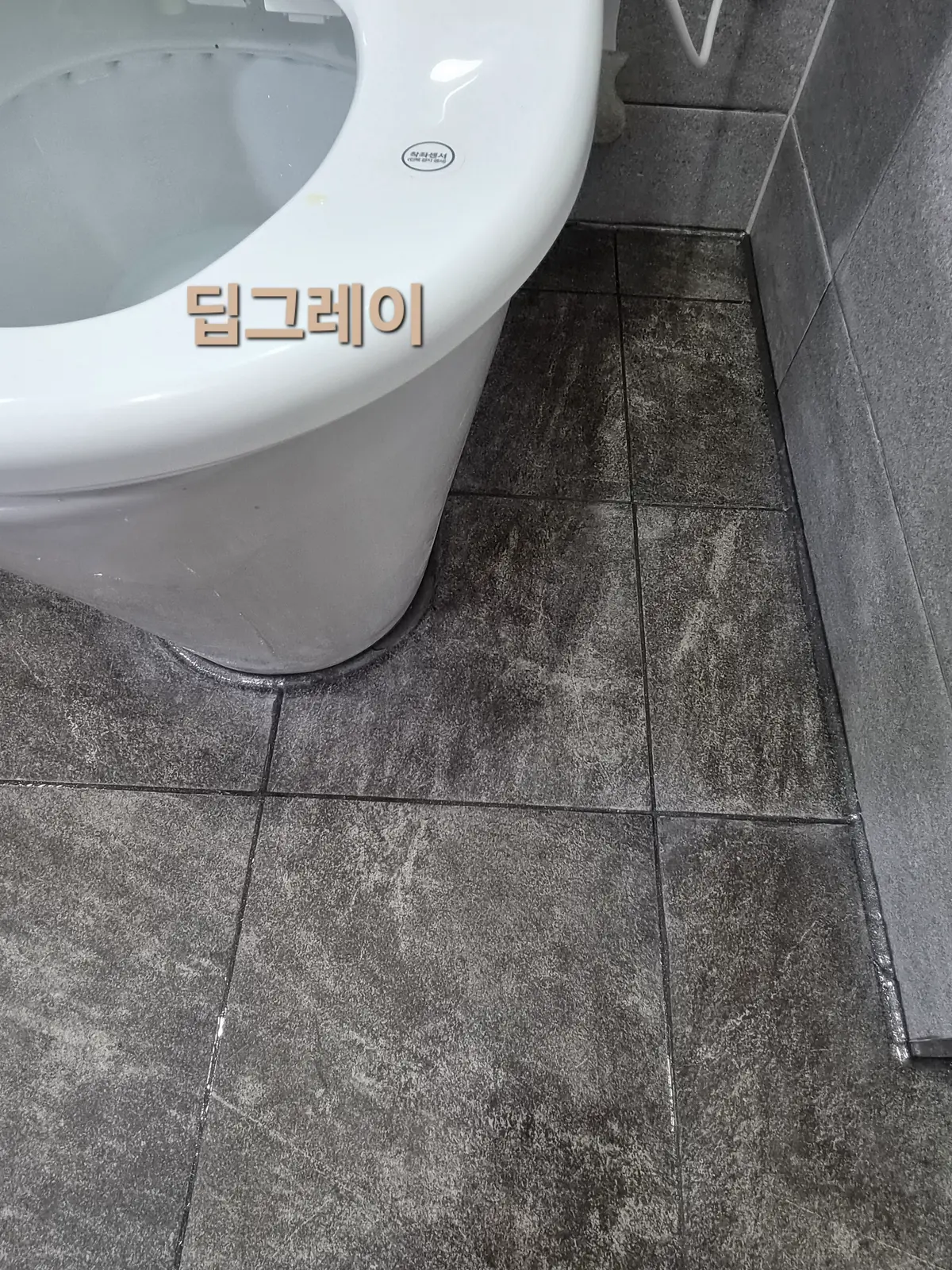 이미지 16