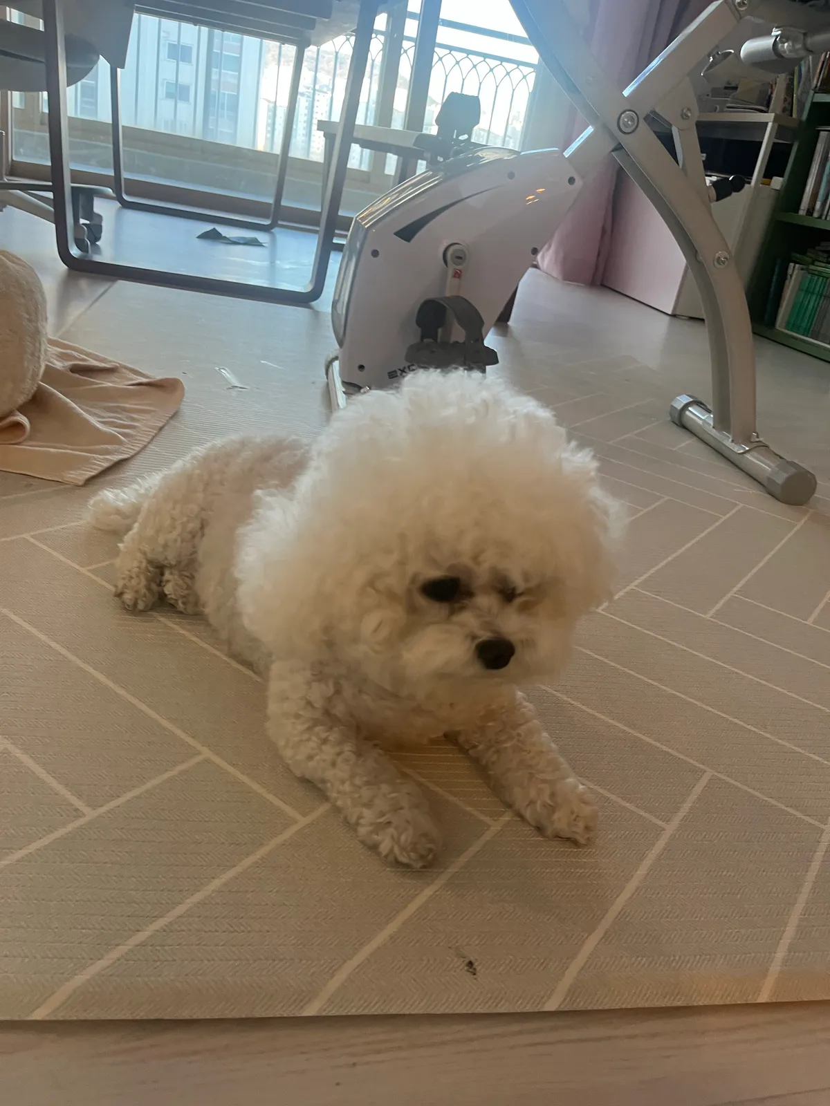 이미지 2