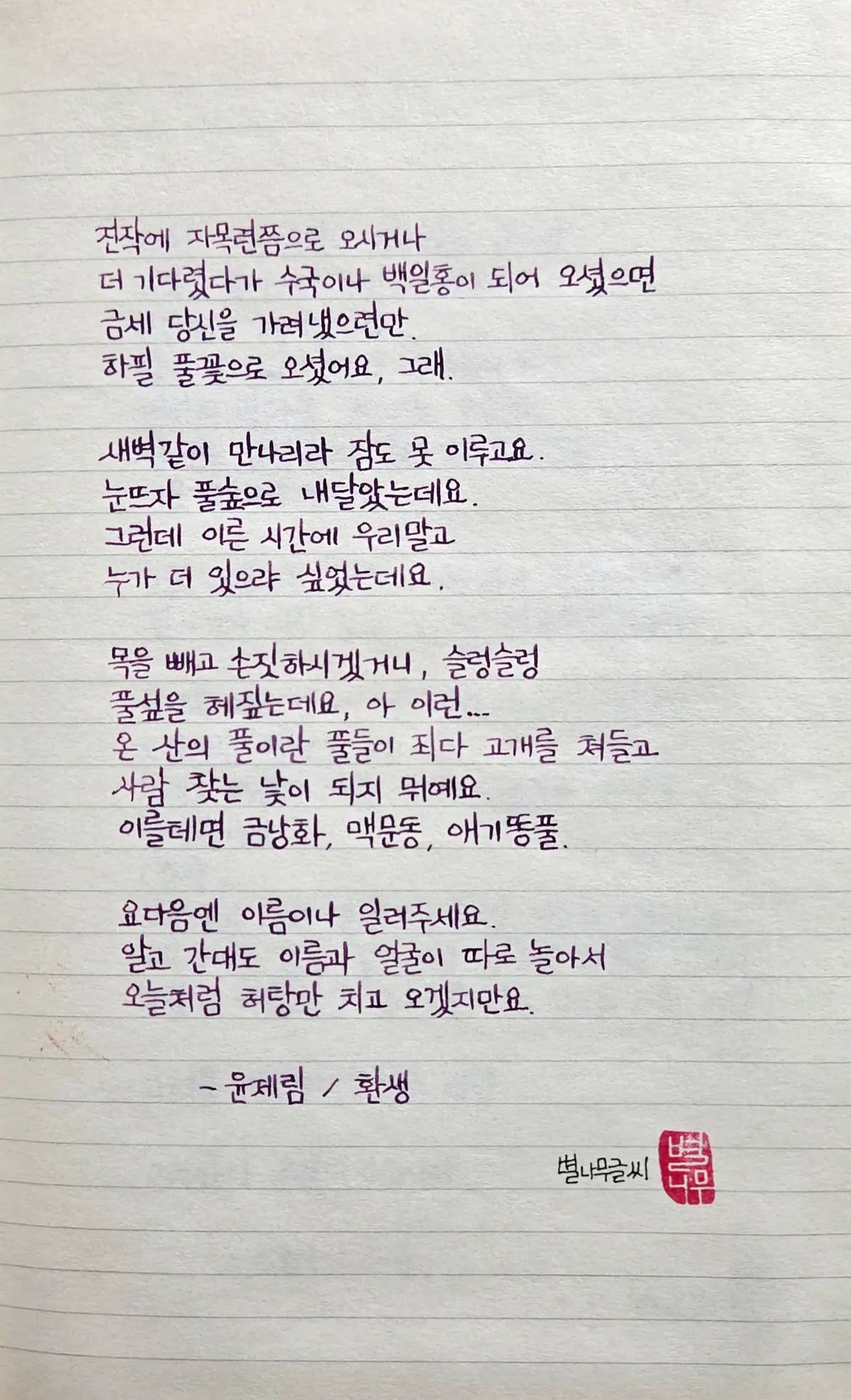 이미지 12