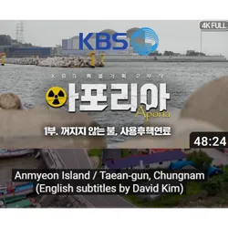KBS 다큐멘터리 시리즈 영어 자막 번역 및 자막 제작