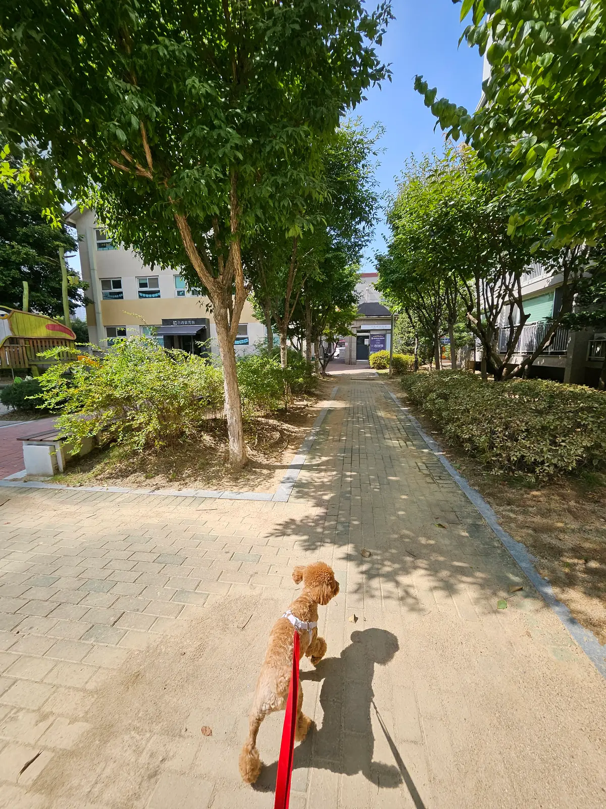 이미지 5