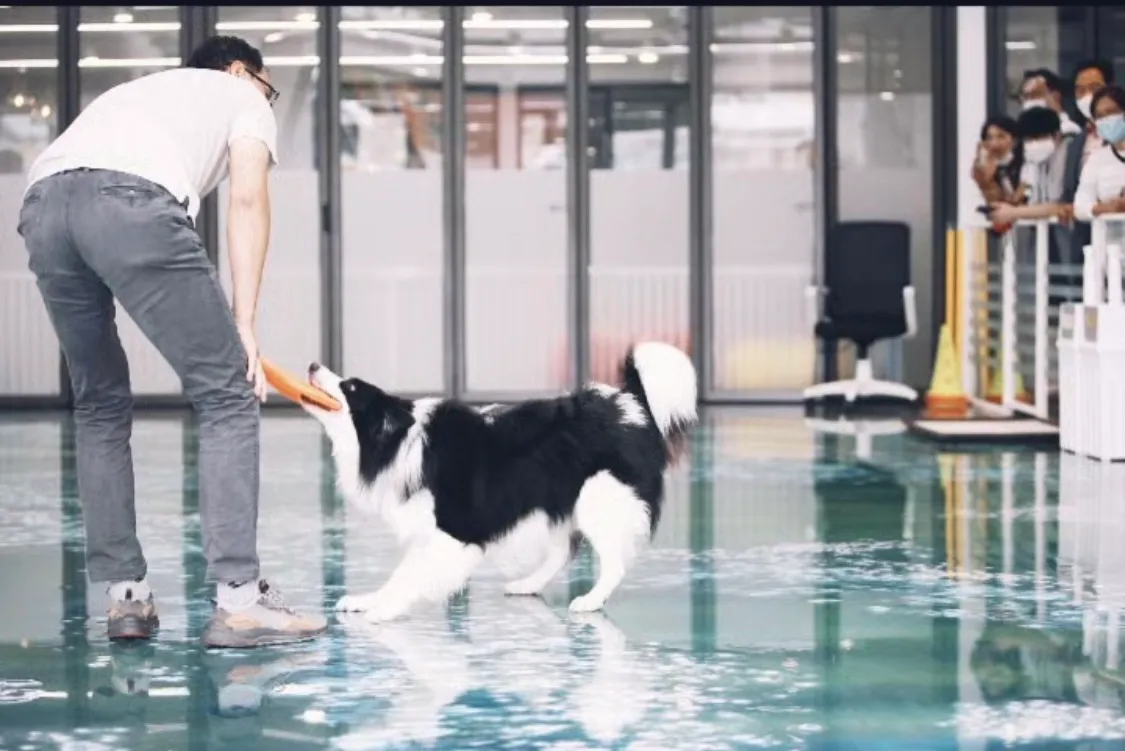 이미지 9