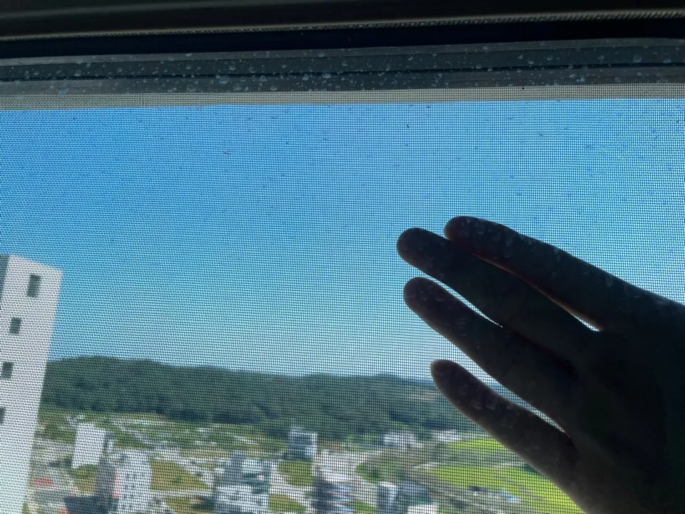 이미지 3