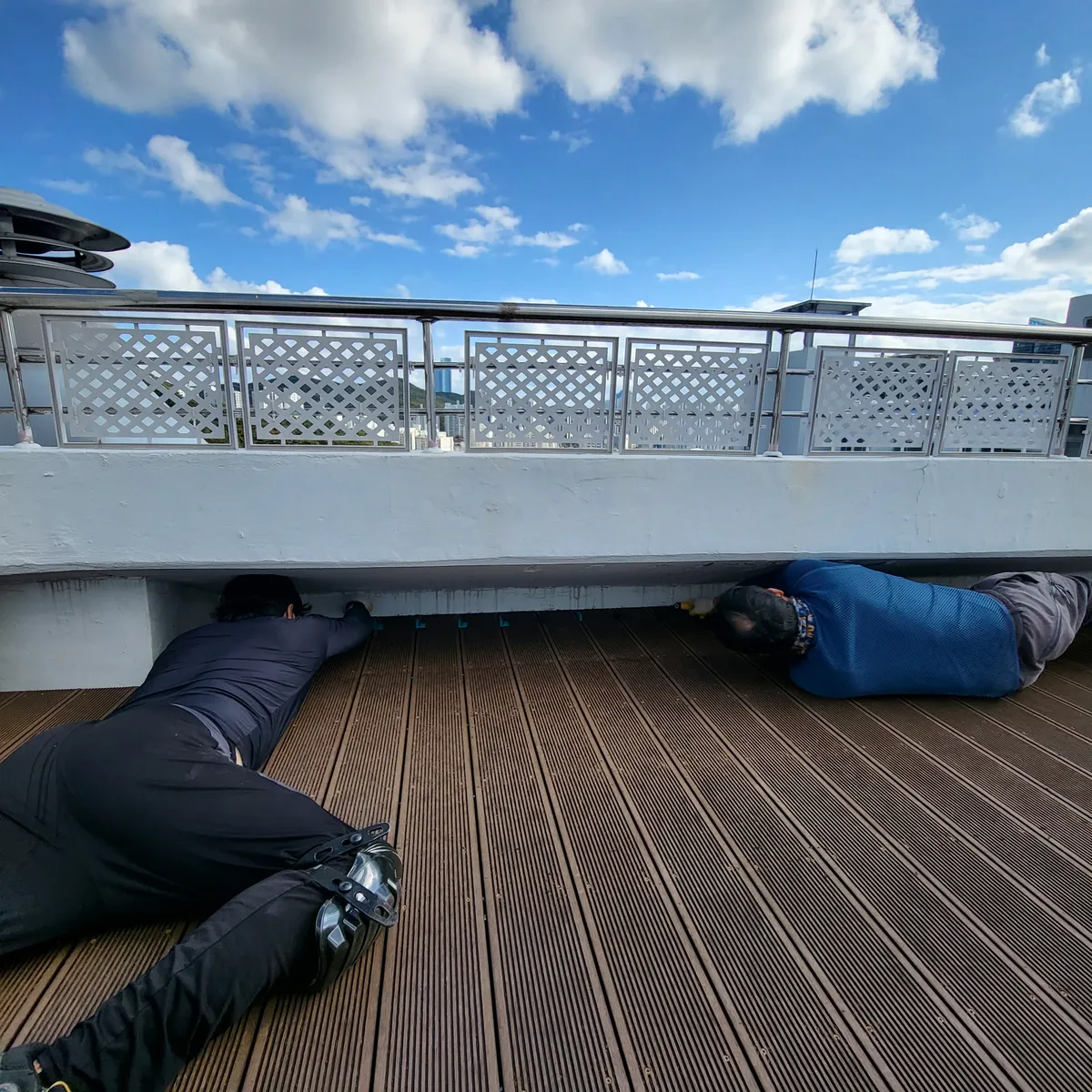 이미지 10