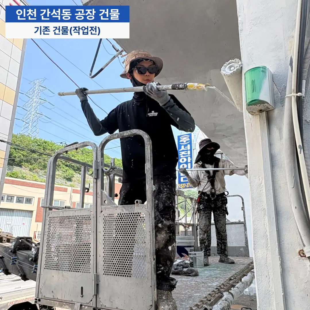 이미지 10