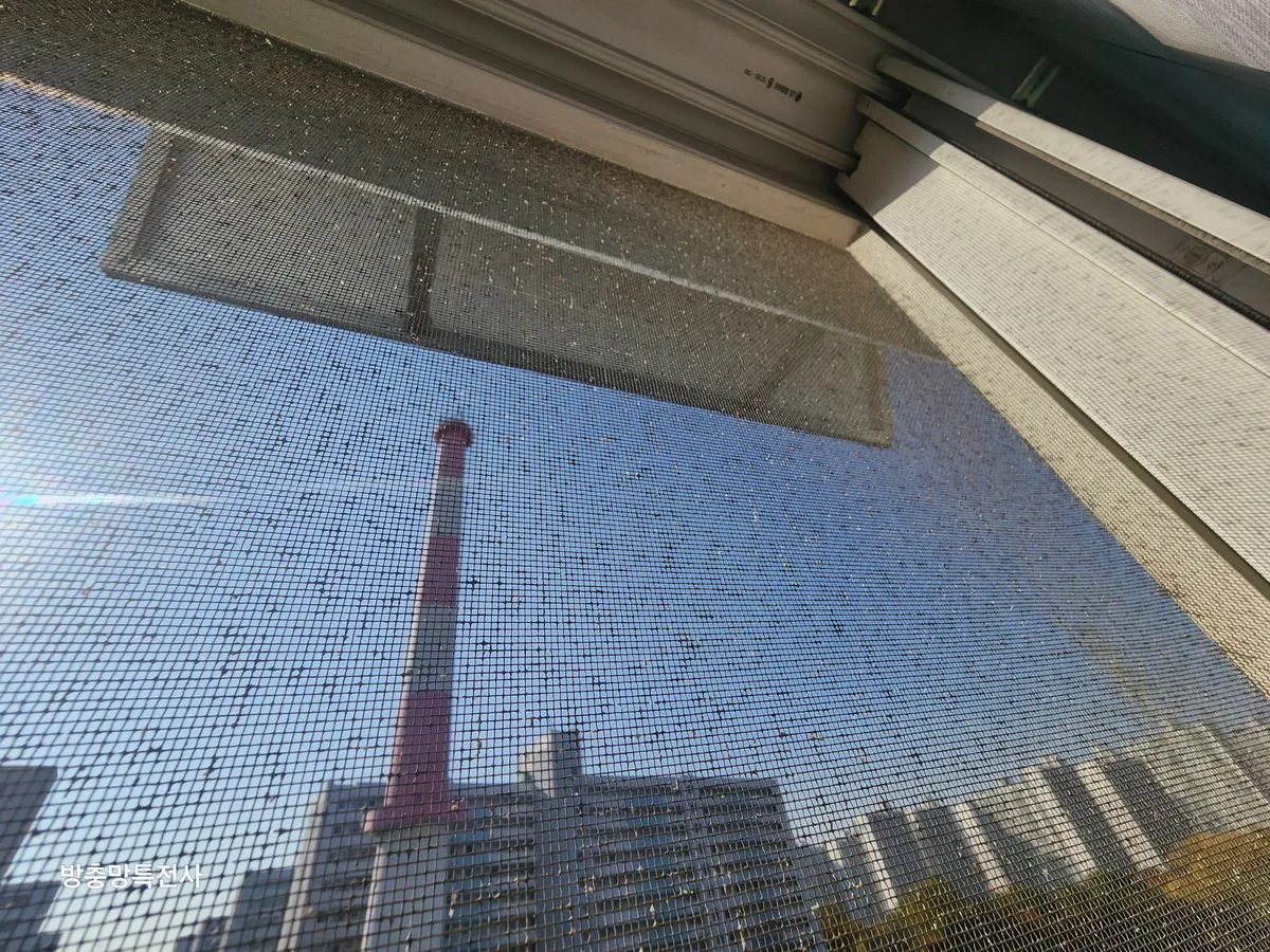 이미지 8