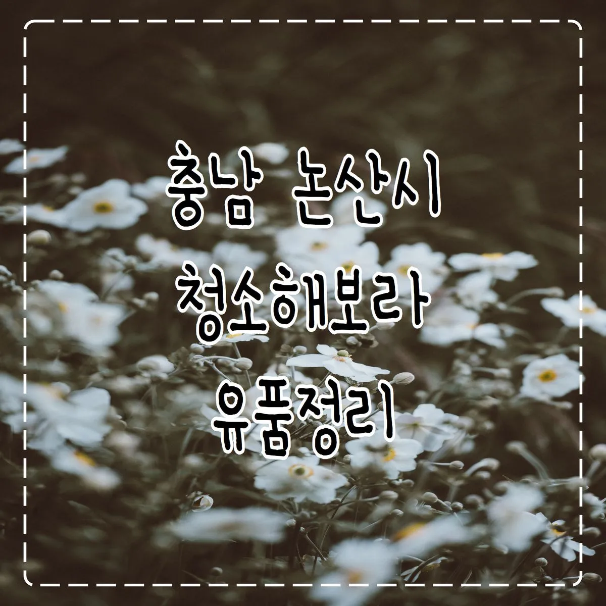 포트폴리오 이미지