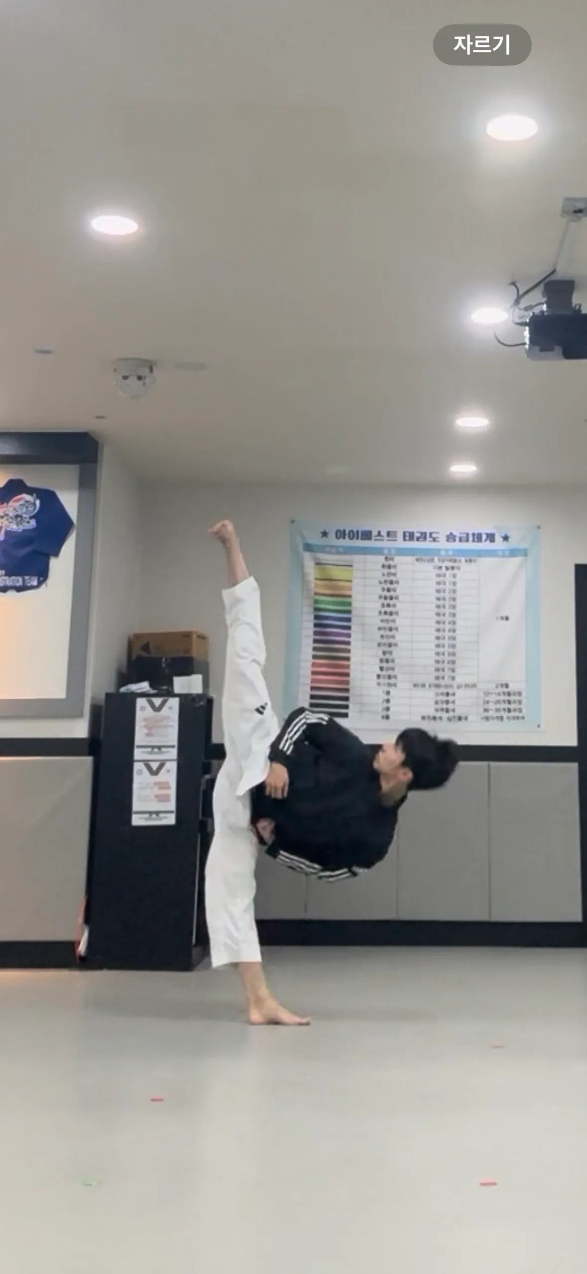 이미지 4