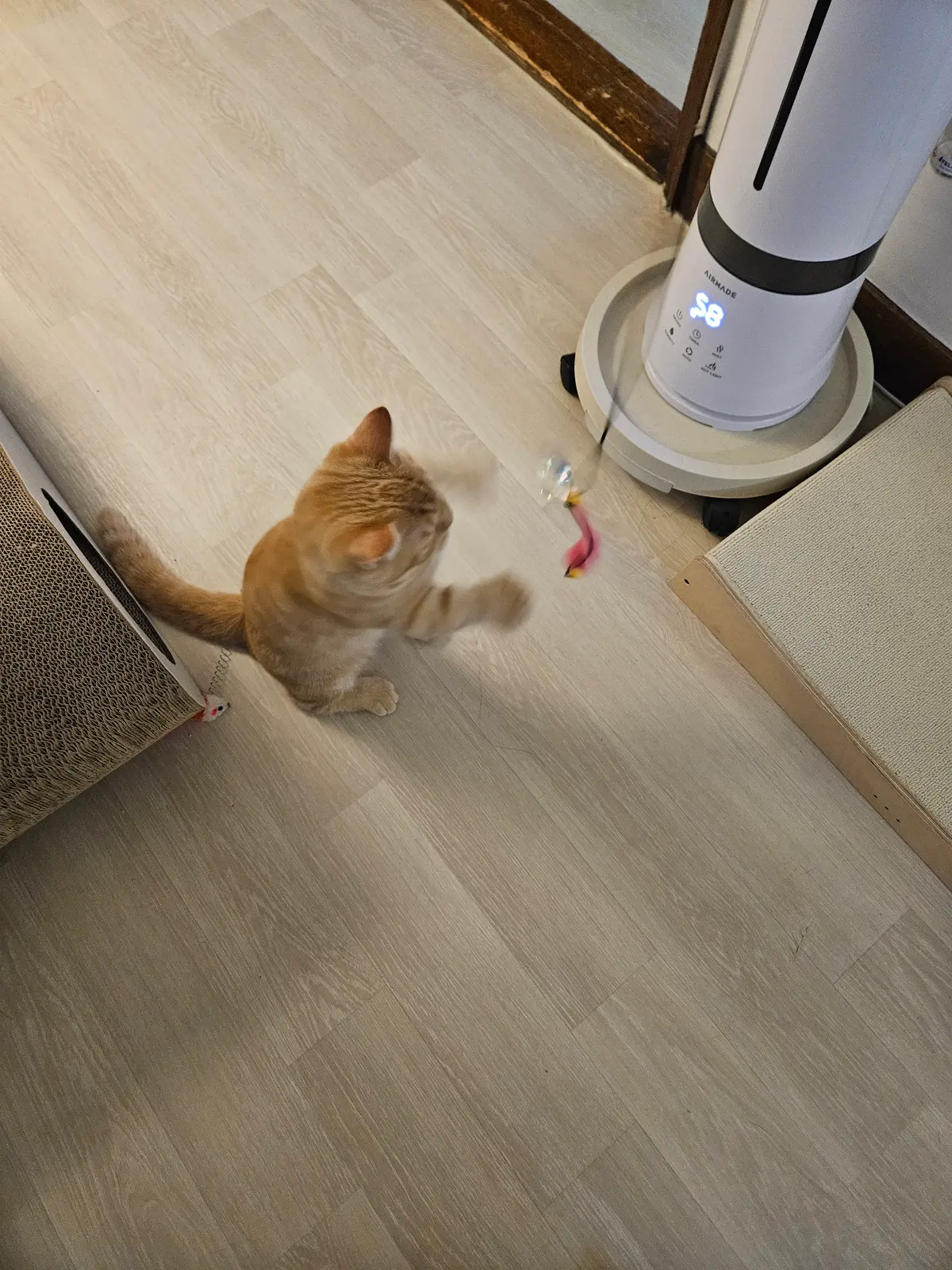 이미지 4