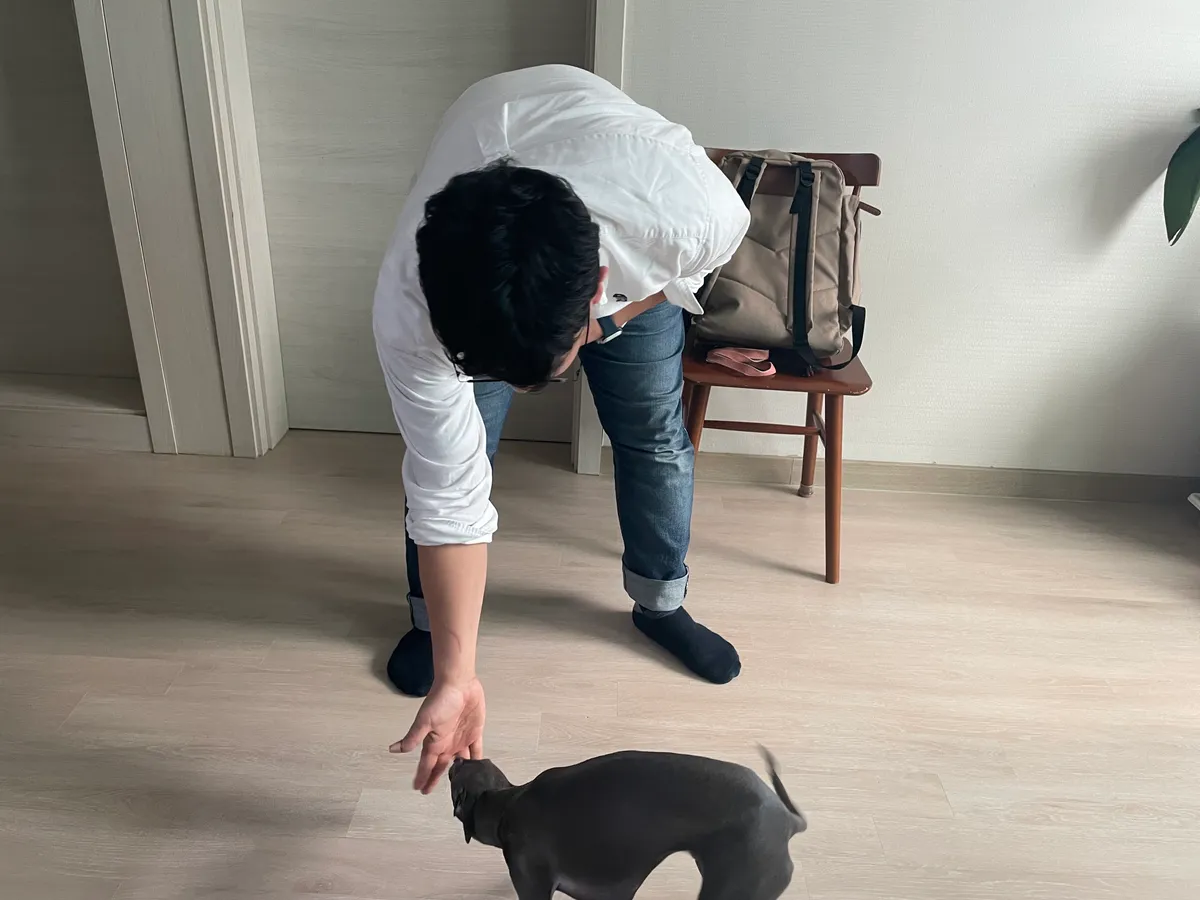 이미지 8