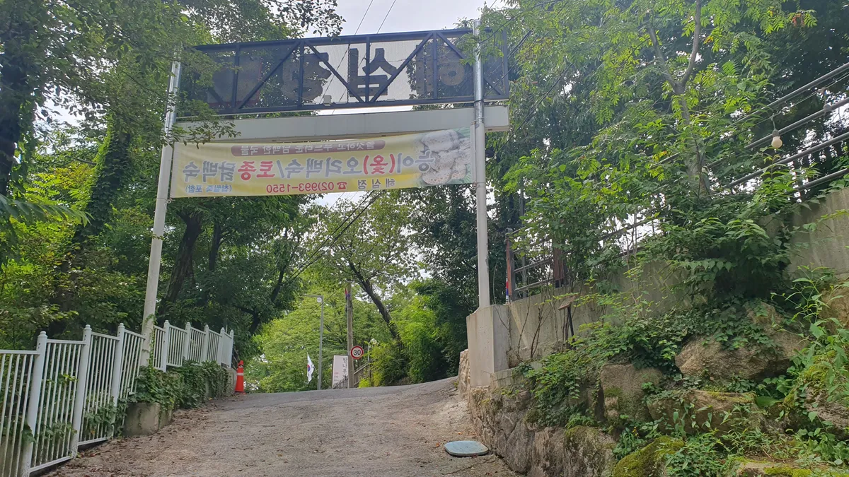 이미지 12
