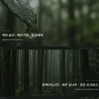 제주 향수 브랜드 신제품 론칭 페이지