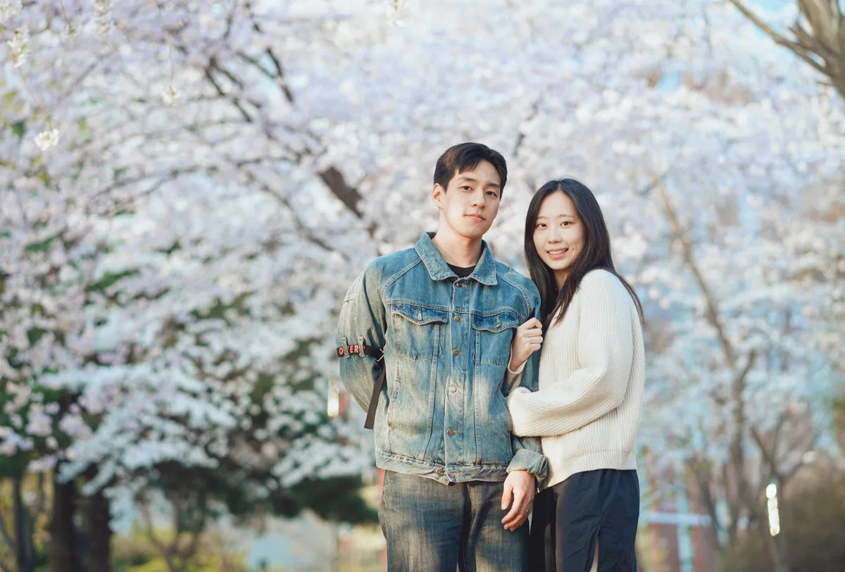 이미지 5