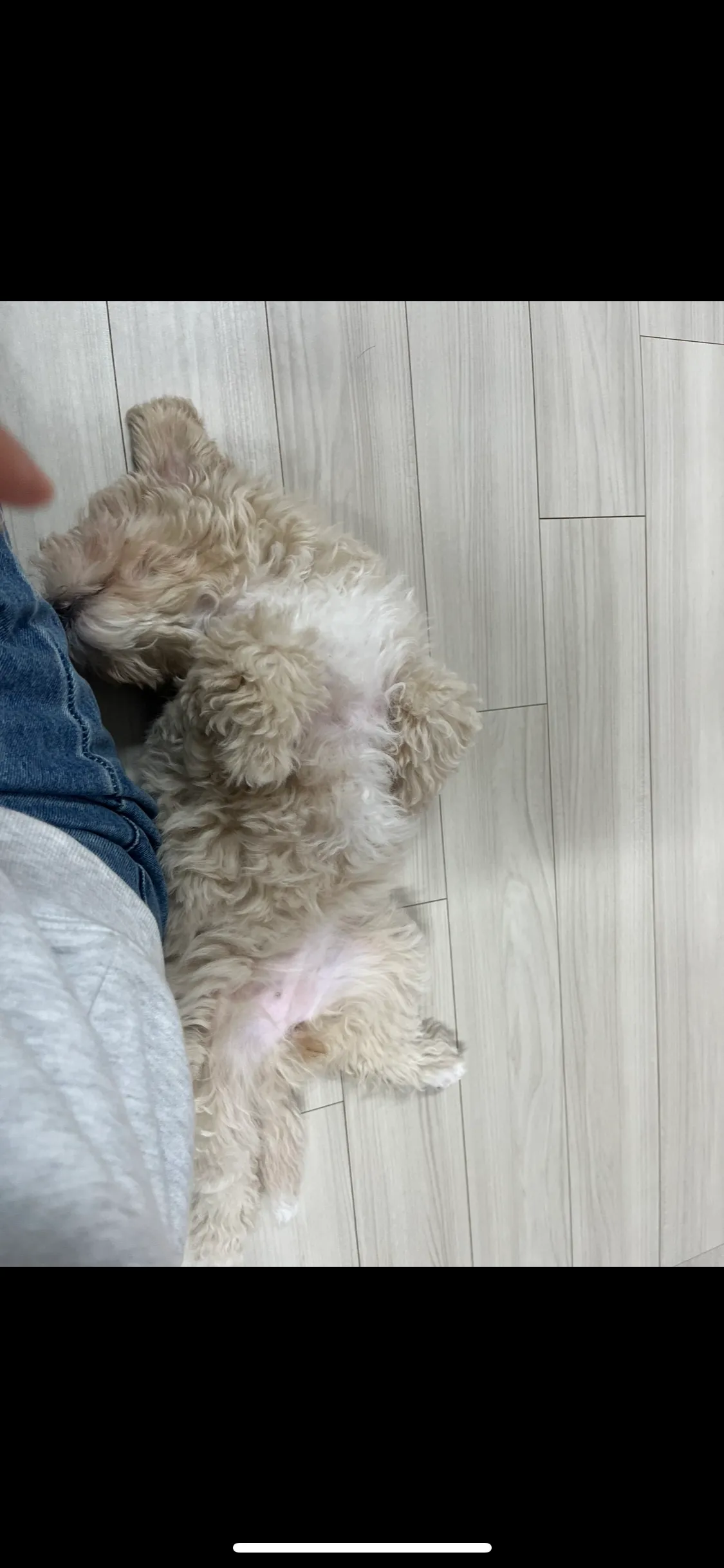 이미지 3