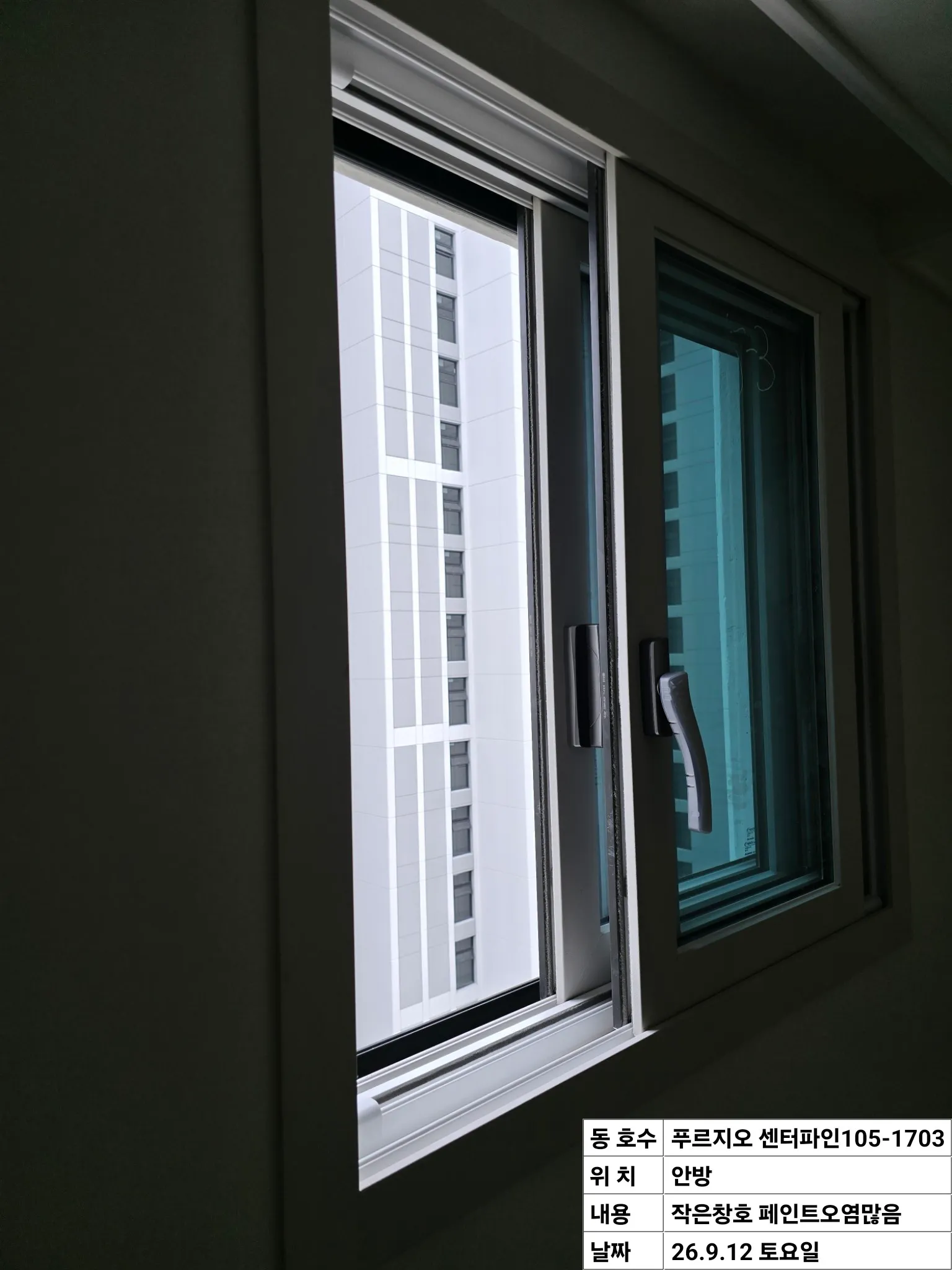 이미지 16