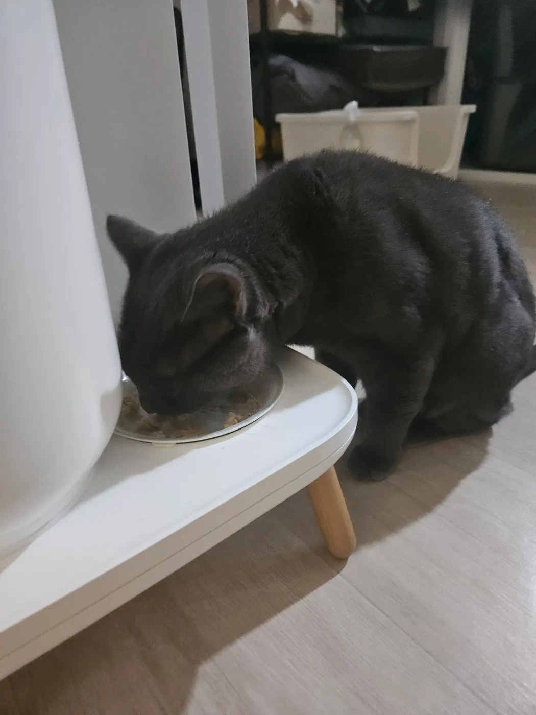 이미지 6