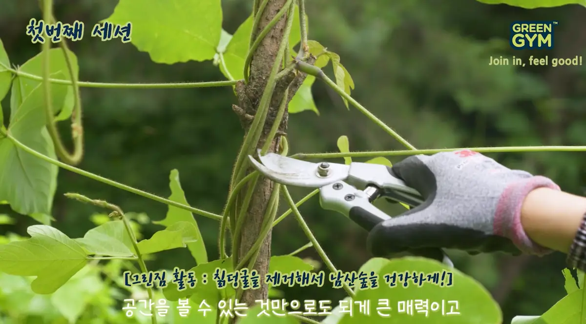 이미지 6