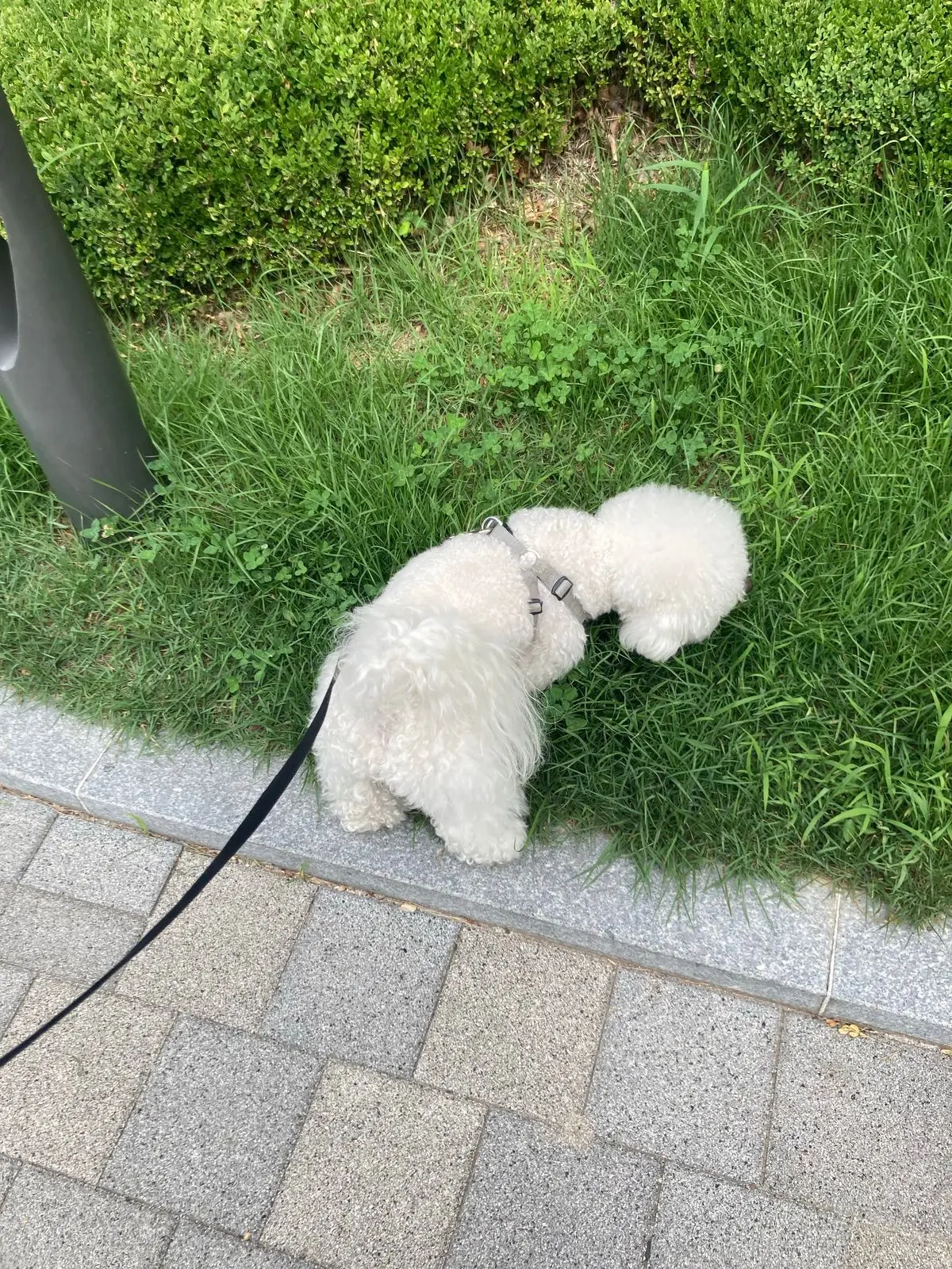 이미지 9