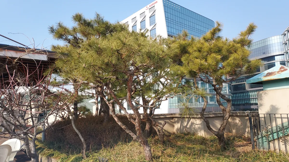 이미지 13
