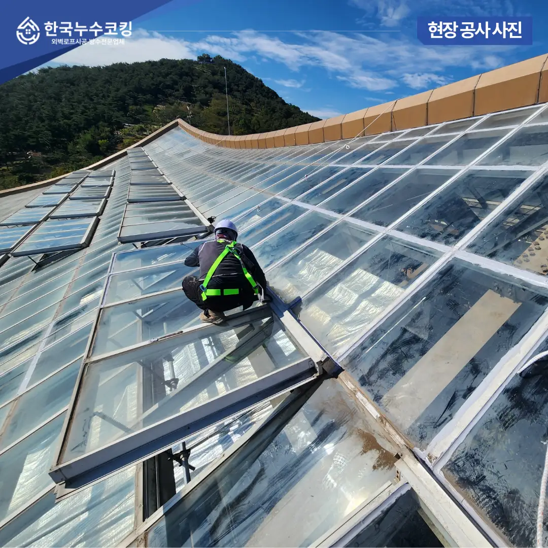 이미지 6