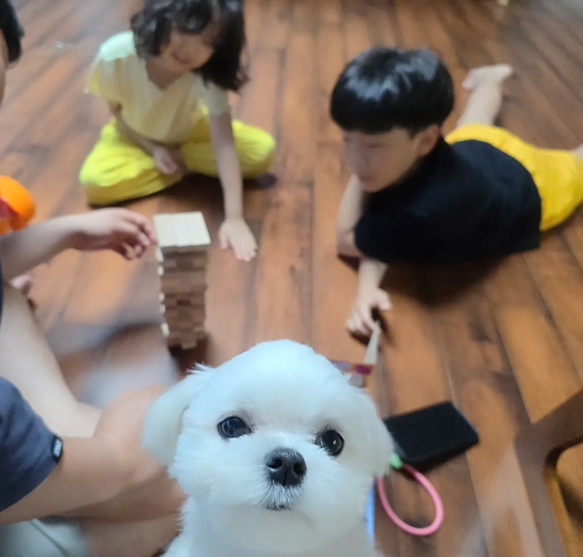 이미지 3