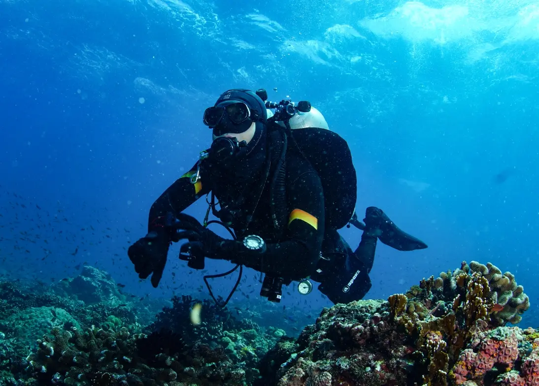 포트폴리오 대표 이미지