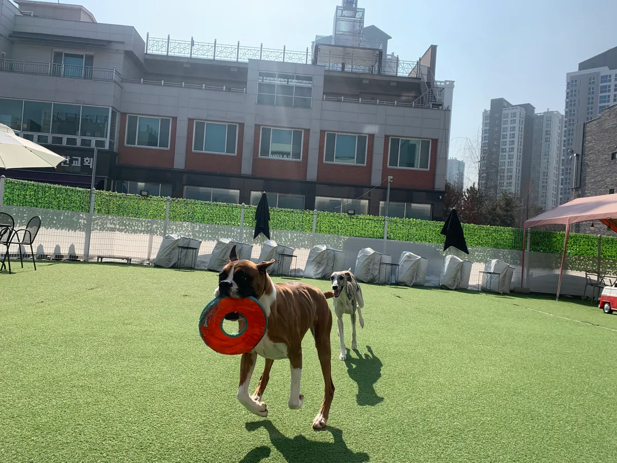 이미지 6