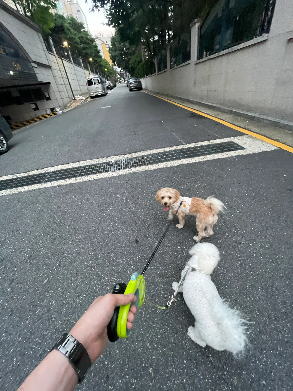 이미지 4
