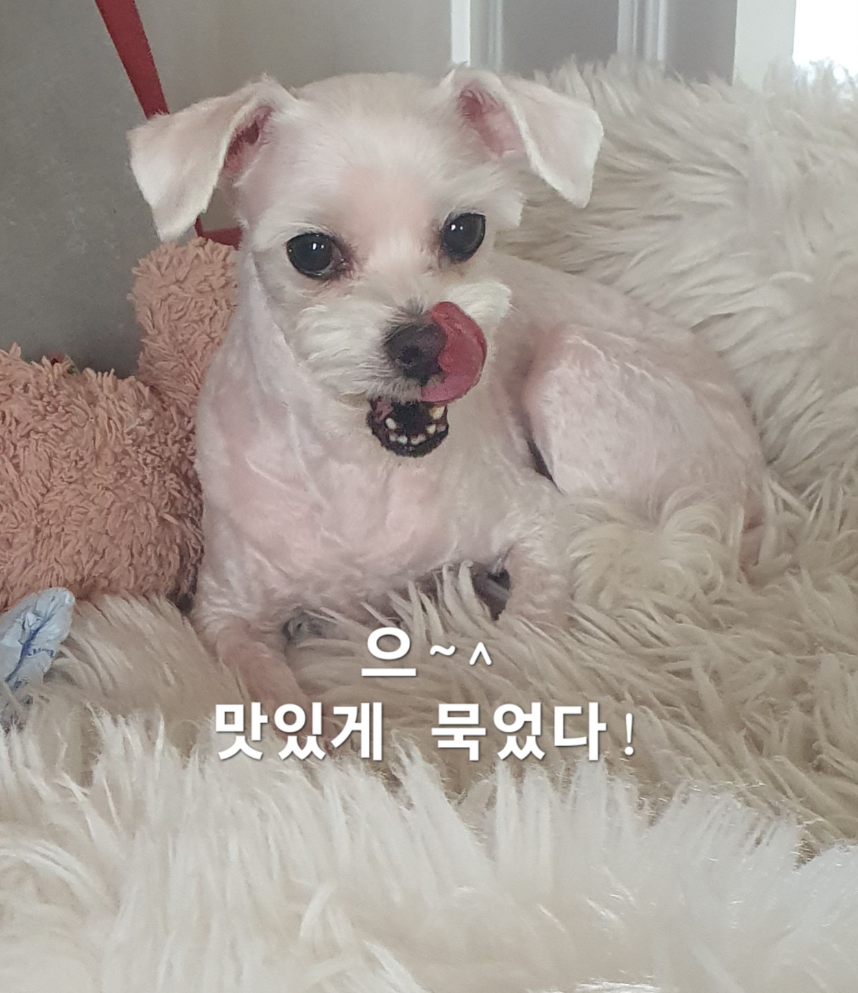 이미지 3