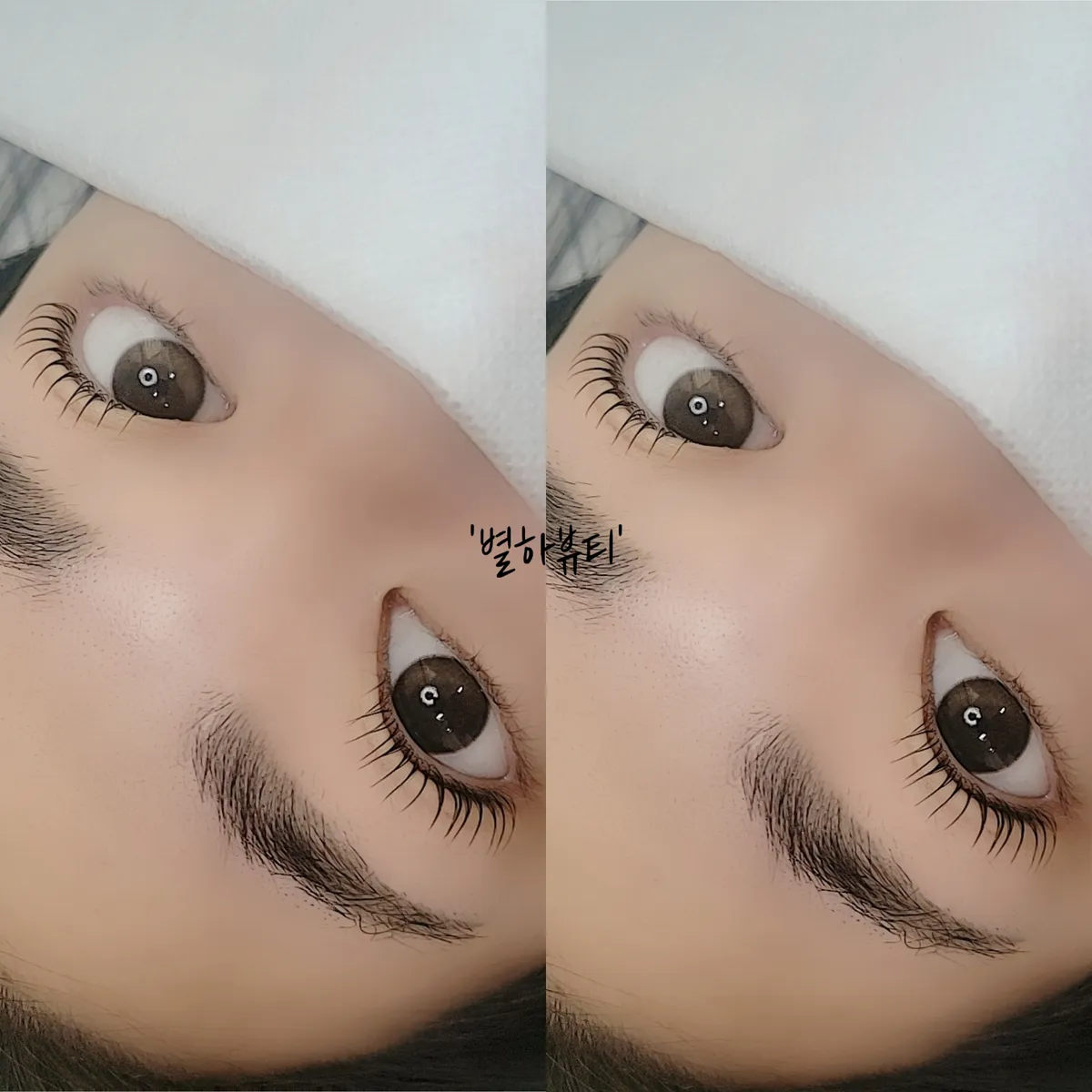 이미지 5