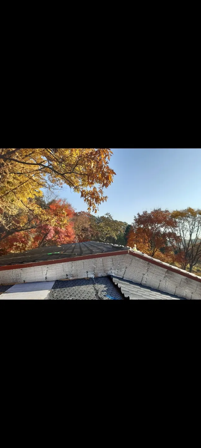 이미지 6