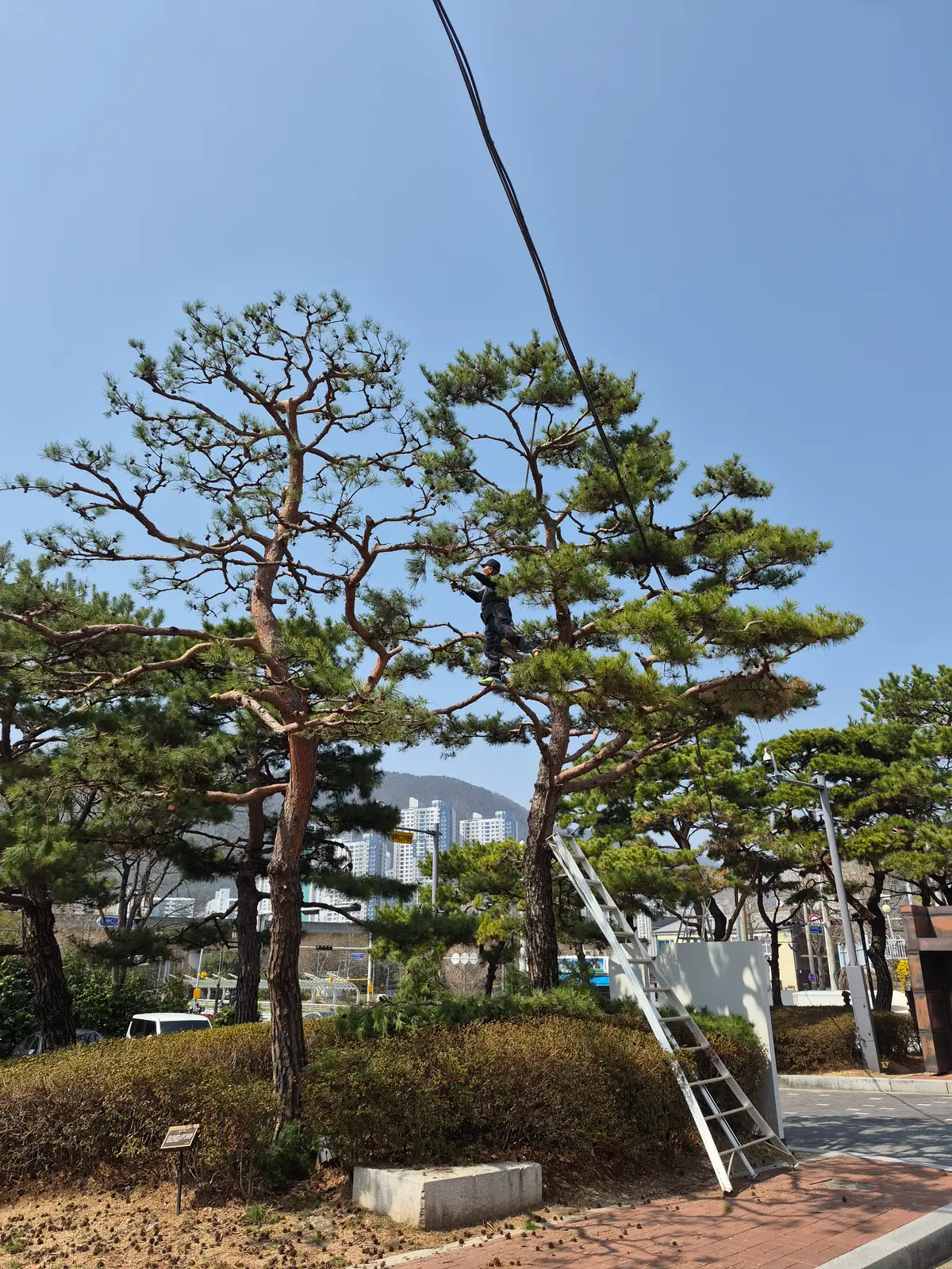 이미지 8