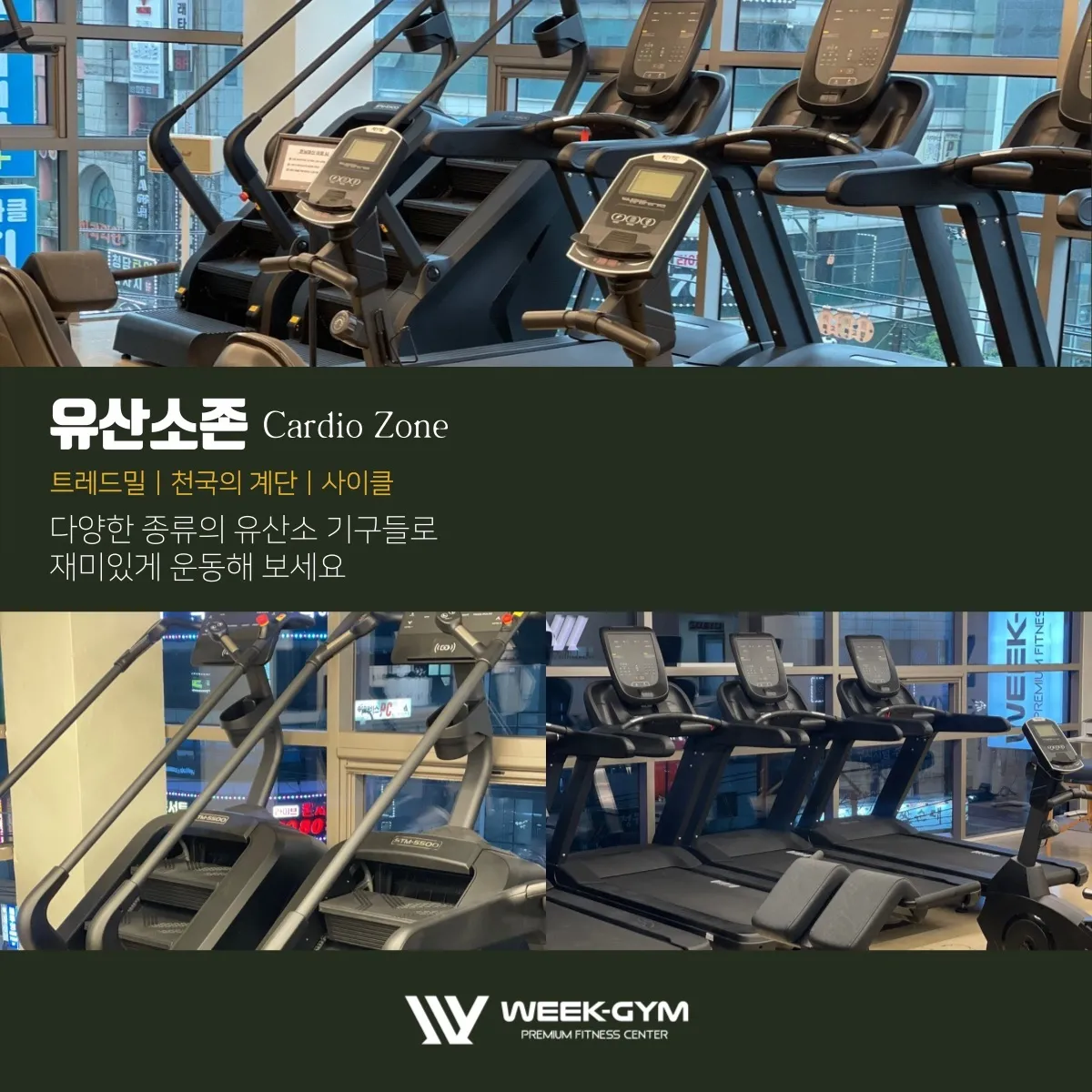 이미지 7