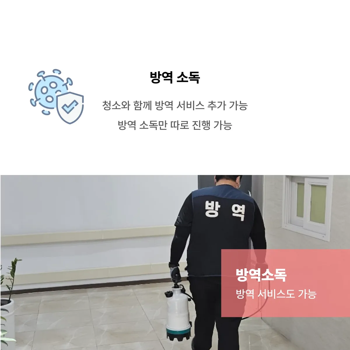 이미지 8