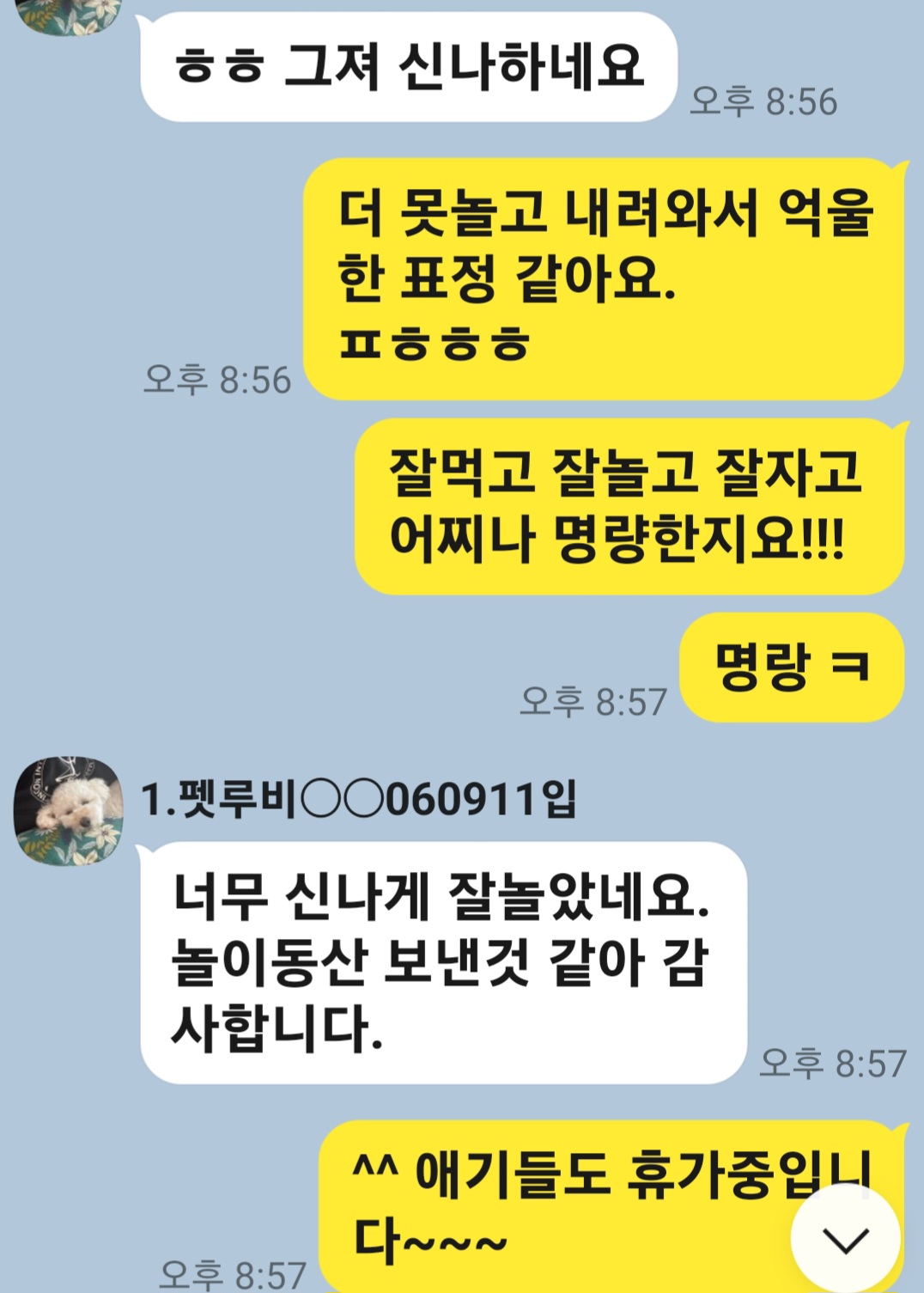 이미지 12