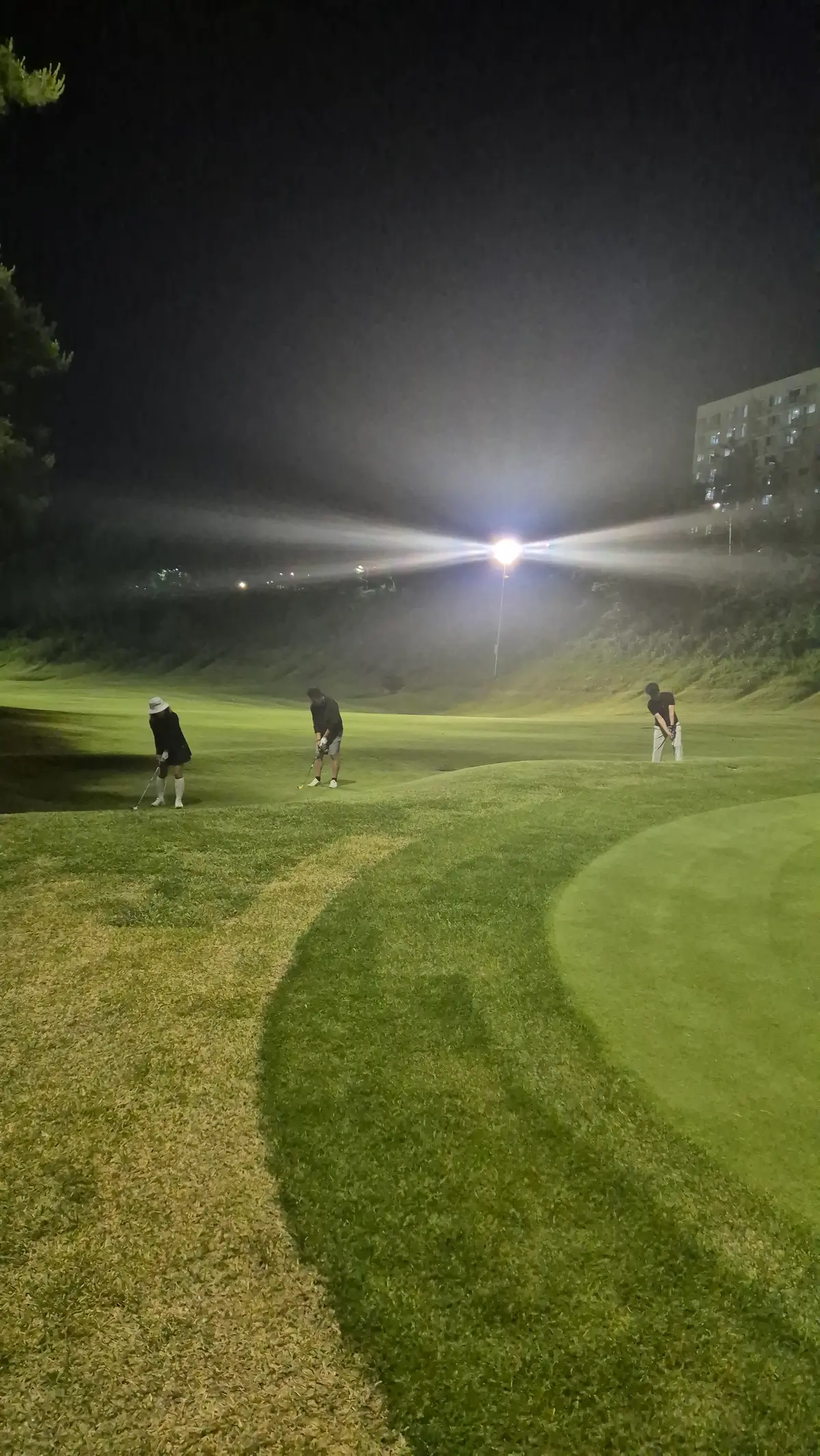 이미지 14
