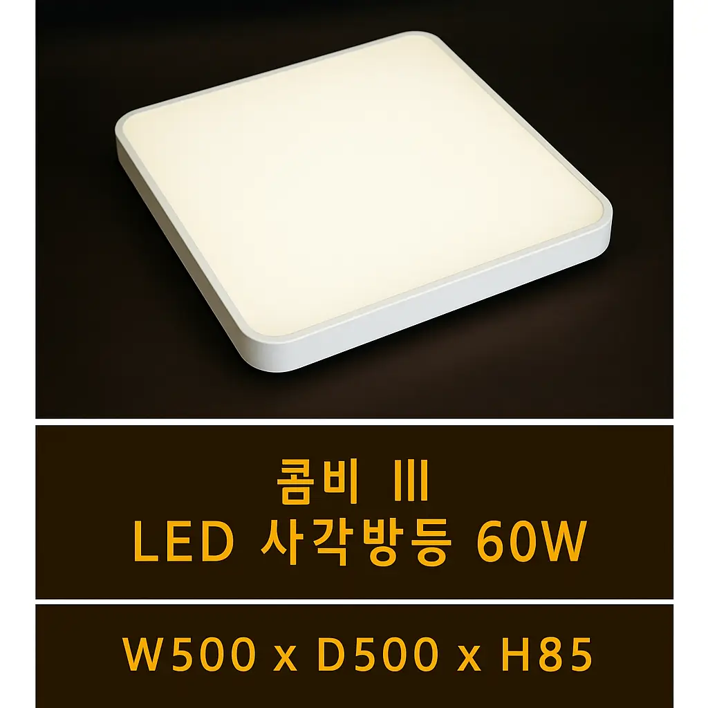 포트폴리오 대표 이미지