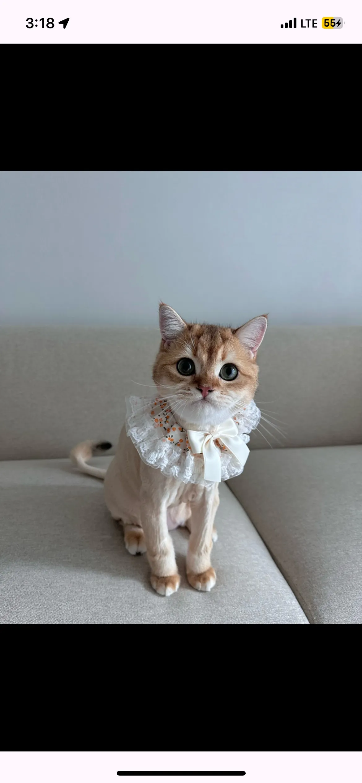 이미지 4
