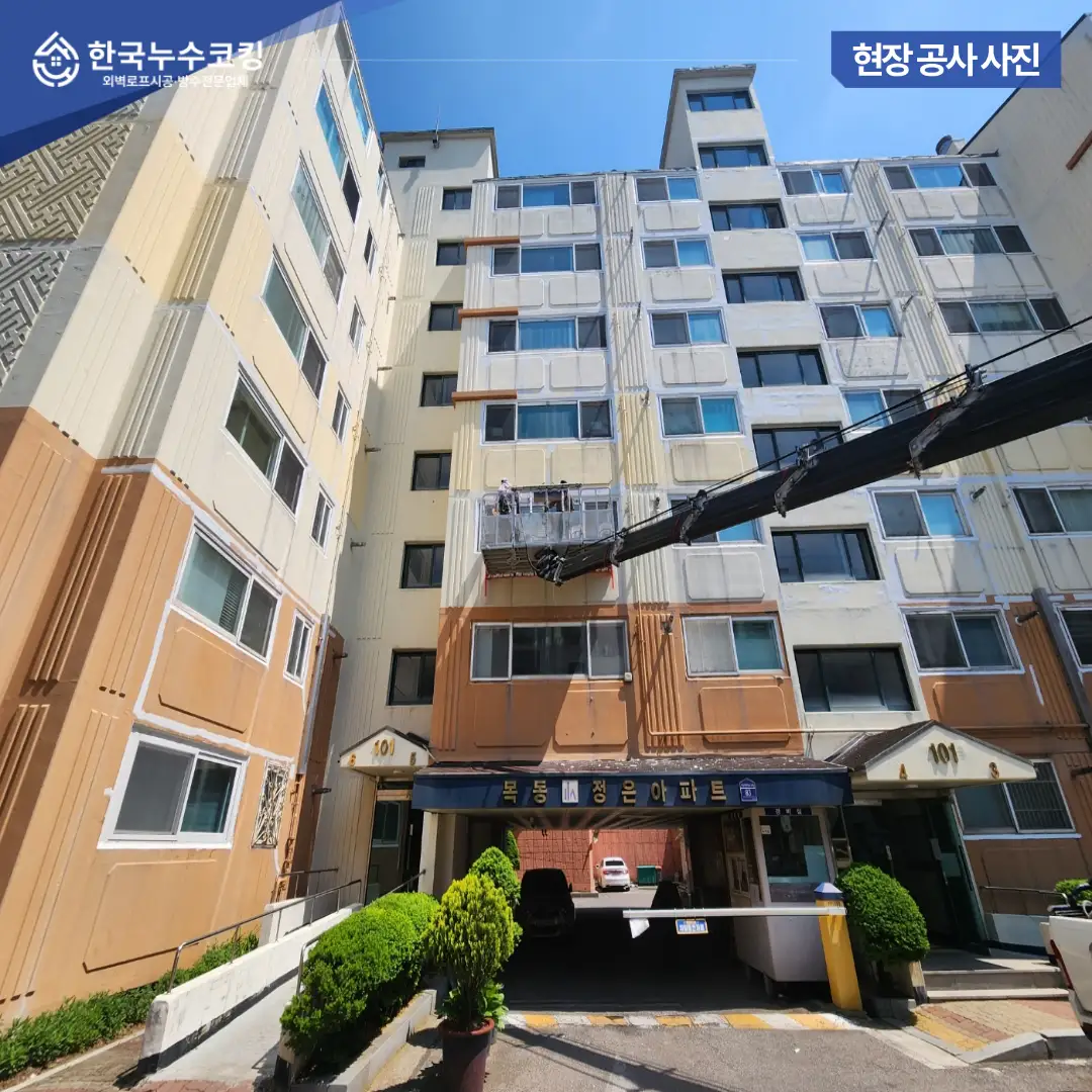 이미지 6